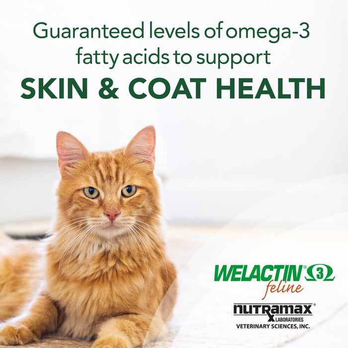 Welactin Omega-3 Fish Oil Skin and Coat Health Supplement for Cats