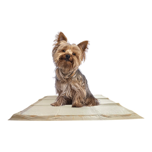 WizSmart Essentials Pads, Large - 024PC-0459 - 10ct - 2