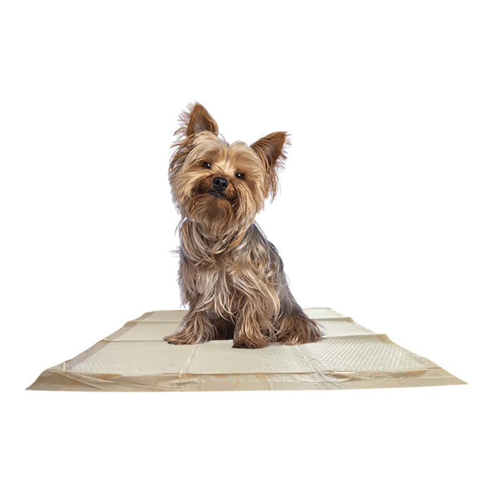 WizSmart Essentials Pads, Large - 024PC-0459 - 10ct - 2