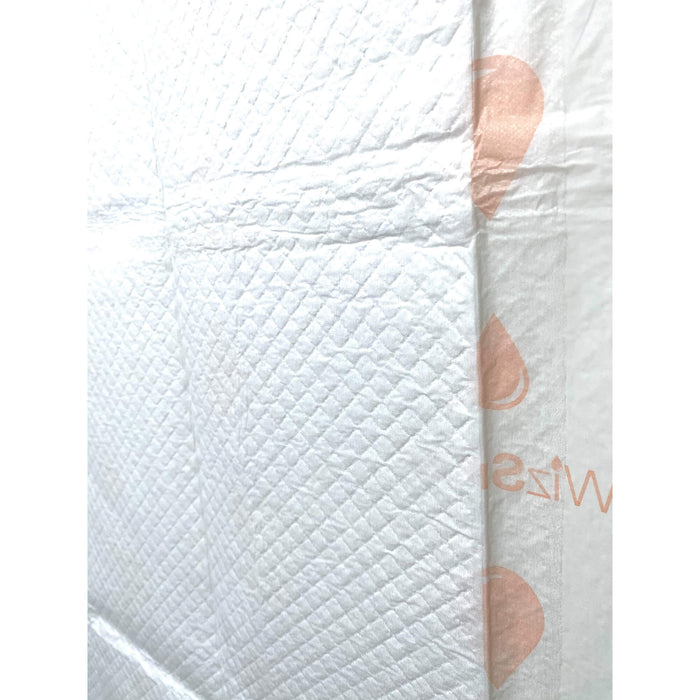 WizSmart Essentials Pads, Large - 024PC-0459 - 10ct - 4