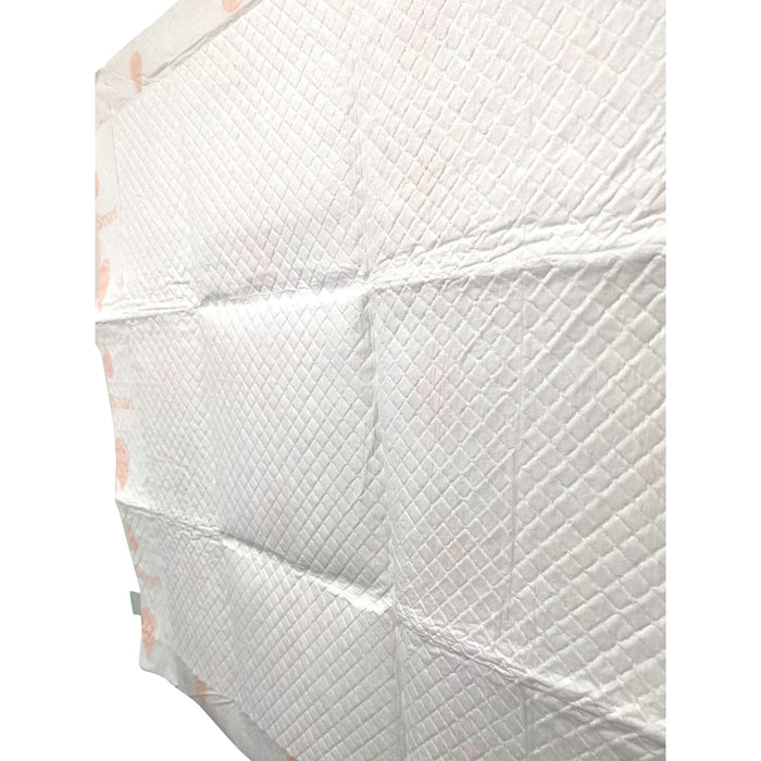 WizSmart Essentials Pads, Large - 024PC-0459 - 10ct - 8