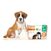 WizSmart Heavyweight Ultra Absorbent Pads for Dogs - 024PC-2240 - 24 ct - XL - 23.5" x 31.5" - 12