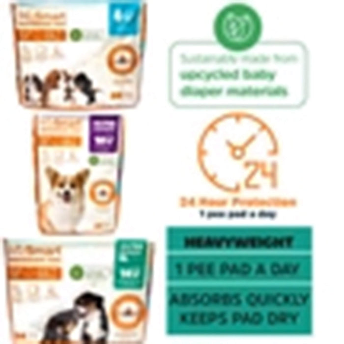 WizSmart Heavyweight Ultra Absorbent Pads for Dogs - 024PC-2240 - 24 ct - XL - 23.5" x 31.5" - 7