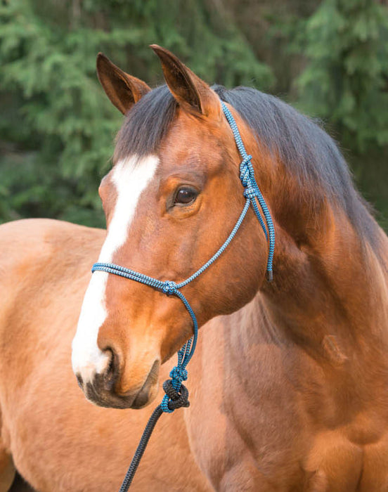 Weaver Silvertip Big Sky Rope Halter, Full Size - Red/Black  