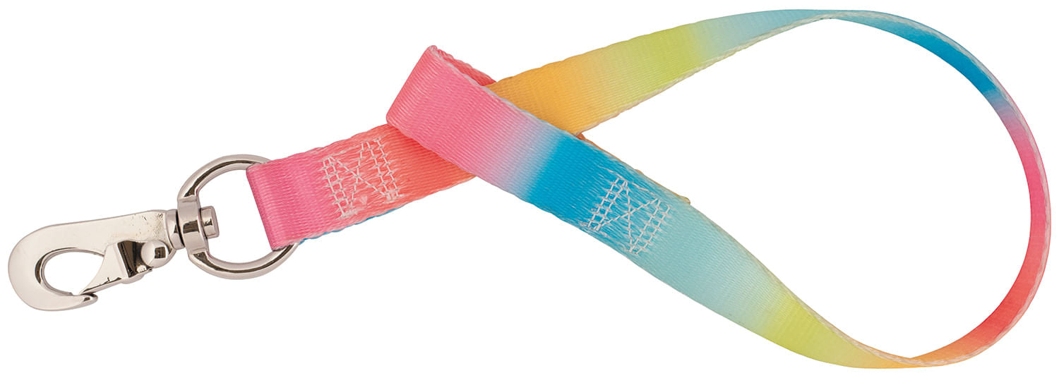 Weaver Nylon Bucket Straps - Rainbow  