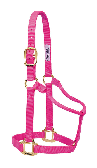 Weaver Original Nylon Horse Halter - Dark Pink Large 