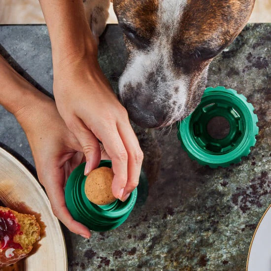 Pupsicle Color Green