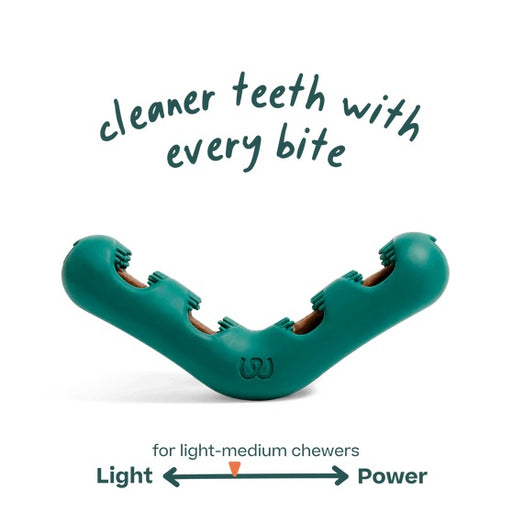 Bite n Brush Color Green