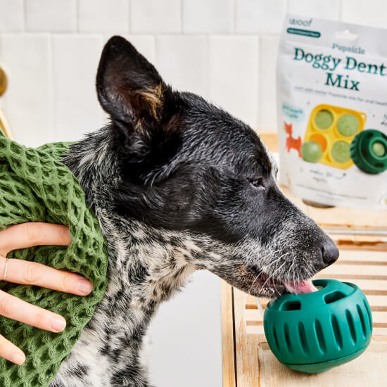 Pupsicle Mix- Size 5.5