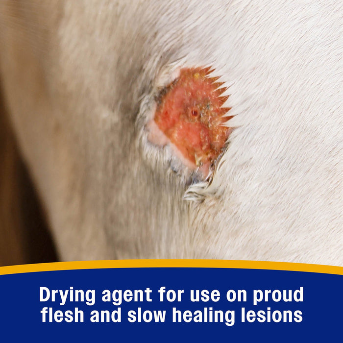 Wonder Dust Wound Powder & Blood Coagulant, 4 oz - FAD1 - 8