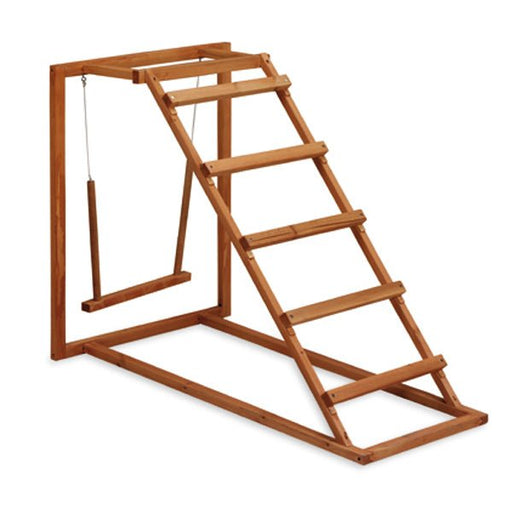 Wooden Chicken Activity Play Set with Swing, Perches, and Ladder - GAUDS - 1