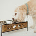 Wooden Woof Cut Dog Diner - Jeffers - Animal & Pet Supplies > Pet Bowls, Feeders & Waterers