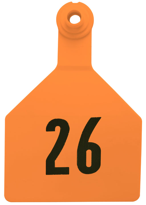 Z2 2-Piece Numbered Maxi Tags, Orange - 1-25  