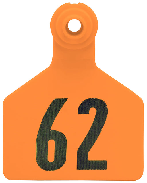 Z2 2-Piece Large Numbered Tags, Orange - 1-25  