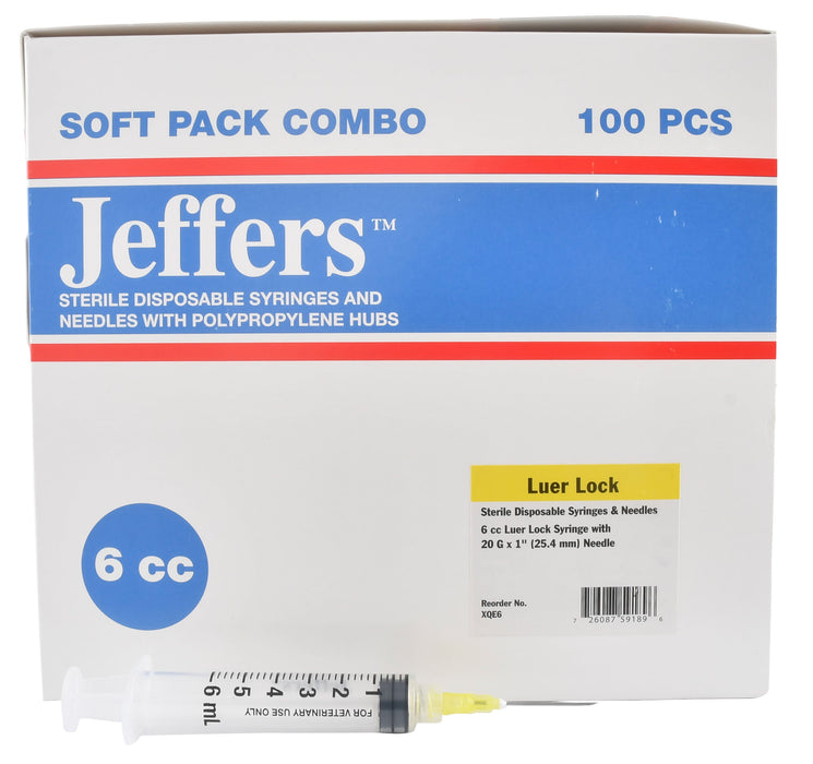 Luer Lock Syringe/Needle Combo, Boxes - 6 mL L.L. w/ 20 ga x 1" (100 count)  