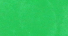 Y-Tex Blank Cattle Ear Tags (Medium), 25 count - Green  