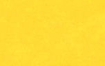 Y-Tex Blank Cattle Ear Tags (Medium), 25 count - Yellow  