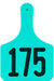 Y - Tag Numbered 1 - Piece Ear Tags, 25 ct - XUDS - Cow - Turquoise - 1 - 25 - 10