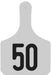 Y - Tag Numbered 1 - Piece Ear Tags, 25 ct - XUEG - Calf - White - 1 - 25 - 3