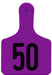 Y - Tag Numbered 1 - Piece Ear Tags, 25 ct - XUGA - Calf - Purple - 1 - 25 - 14