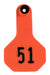 Y - Tex Numbered Ear Tags (Small), 25 count - Jeffers - Farm & Ranch Supplies > Identification & Ear Tags