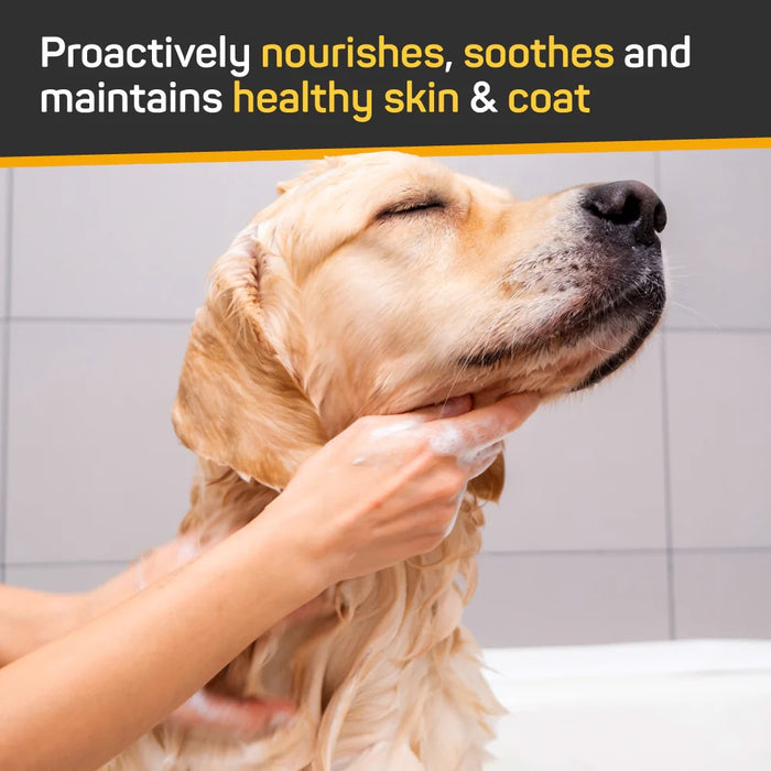 Silver Honey Skin & Coat Care Shampoo 16 fl oz (473 ml) Pump Bottle Size 16 fl oz (473 ml)