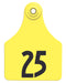 Allflex Global Numbered Ear Tags (Large), 25 count - Yellow 101-125 