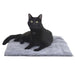 Mysterious Purr Padd - Charcoal Purr Padd, 2-pack  