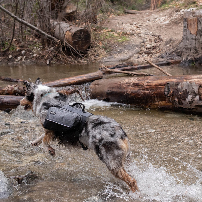 Zippy Paws Lightweight Adventure Backpack, Graphite - ZPP13 - Large - 6