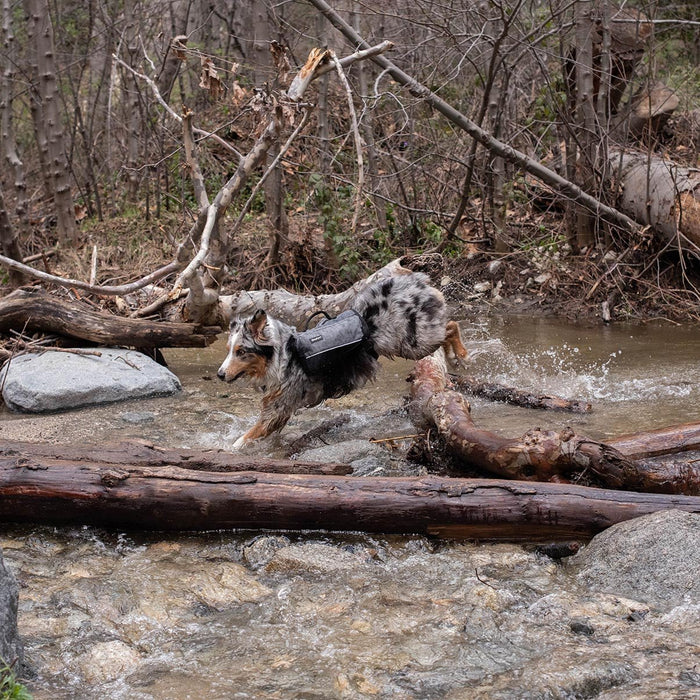 Zippy Paws Lightweight Adventure Backpack, Graphite - ZPP13 - Large - 5