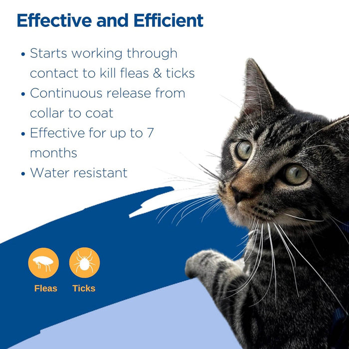 Zodiac Breakaway Flea and Tick Collar for Cats, 1 ct - FAAAB - One Size Fits All - 1 - 3